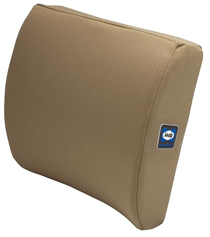 Sealy Memory Foam Lumbar Support Pillow – Ergonomic Back Cushion for Office Chairs and Car Seats, Premium Lower Back Pain Relief and Multi-Purpose Comfort (Brown)