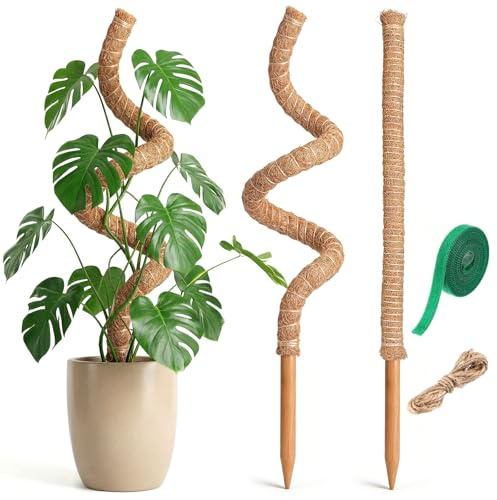 Acsatont 2 Stück Moosstab Rankhilfe, 60cm & 120cm Kokosnussstab Flexibel, Kokosstab zum Trainieren von Kletterpflanzen Hochwachsen, Handgemachter Moosstab mit Zubehör für Innenpflanzen