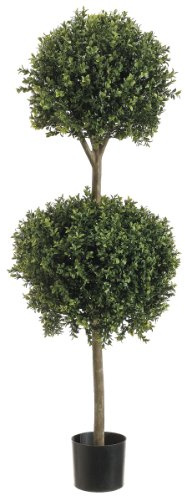 4' Double Ball-shaped Boxwood Topiary in Plastic Pot Two Tone Green
