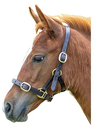 Shires Blenheim Adjustable Leather Headcollar - Havana Yearling