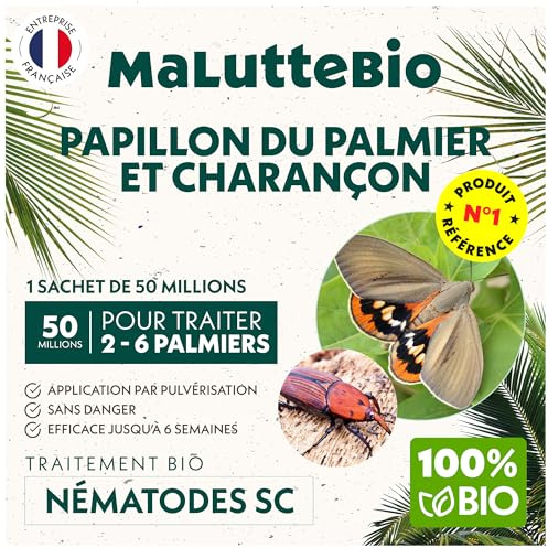 Nématodes contre le Papillon du palmier et le Charançon Rouge - Nematodes palmier - Pour traiter 2 à 6 palmiers
