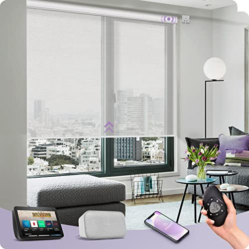 Graywind Smart Daylight Roller Blinds, 20% Light Filtering, Non-Blackout Sheer Fabric, Motorised Electric Window Blinds Work with Alexa Google, Hardwired & Customised, Remote Control, White