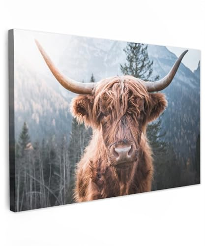 MuchoWow© Wandbilder Groß XXL Wohnzimmer Wanddeko Schlafzimmer Zimmerdeko | 120x80 cm - Fotowand Zimmer Deko Wand Dekoration Wall Art Kuh Leinwand - Schottisches Hochlandrind - Highland Cow Bild