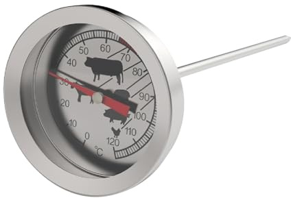 Termometro da cucina per carne, acqua, latte, cucina, sonda per barbecue, forno, termometro per caffè, latte, utensili da cucina