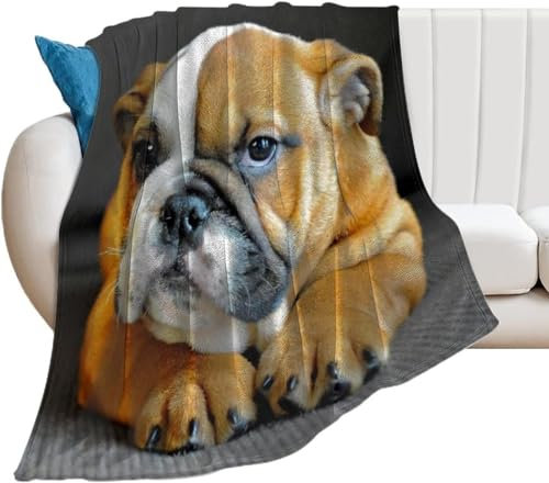 Kuscheldecke Flauschig 100x135 Hund 3D Decke Süßes Haustier Flanell Fleecedecke Weich und Warme Wohndecken Kuscheldecken Sofa Bett Überwurfdecke Sofadecke Couch Blanket Y4901