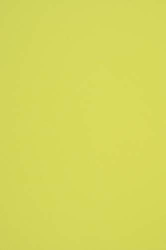 Netuno 50x Tonpapier Pistaziengrün DIN A4 21 x 29,7 cm 140g Woodstock Pistacchio buntes Bastelpapier durchgefärbt Farbpapier Recyclingpapier Öko-Papier recyceltes Naturpapier farbig bedruckbar