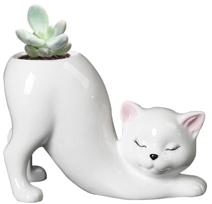 Jardinera para gatos - Macetas para plantas suculentas, maceta única
