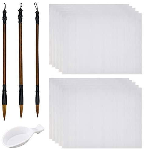 PH PandaHall Set da 14 pezzi per calligrafia cinese senza inchiostro, panno di carta riutilizzabile per scrittura ad acqua, pennelli tradizionali per calligrafia cinese di Siena e piatto d'acqua per