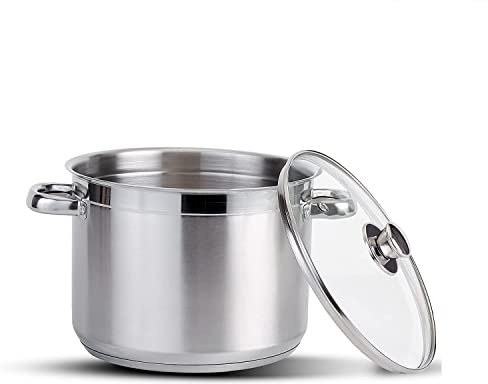 Stainless Steel Stock Pot with Vented Glass Lids- Deep Two Tone Silver Pot, Induction Base (22 cm Diameter - 6.5 Litre)