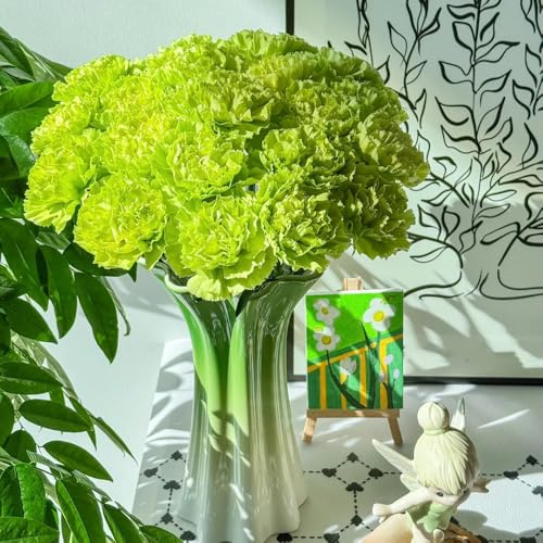 Semi di garofano perenni resistenti, giardino copertura del terreno balcone 85pcs