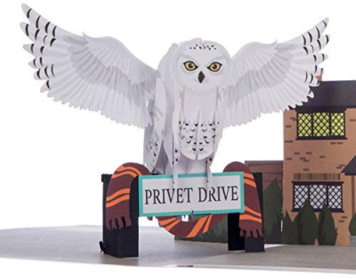 Cardology – Hedwig Pop-Up Card – Harry Potter Birthday Card for Kids or Adult fans, Officially Licensed Wizarding World Merchandise