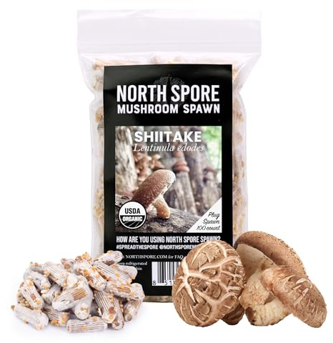North Spore Shiitake Pilzstopfen für Holzscheite (100 Stück) | Premium Qualität Pilz Plug Spawn | Handgefertigt in Maine, USA | Grow Gourmet Pilze Outdoor auf Holzscheiten | Zum Impfen von Holzscheiten, Anfängerfreundlich, Lentinula Edodes, USDA-zertifiziert Bio, handgefertigt in Maine, USA