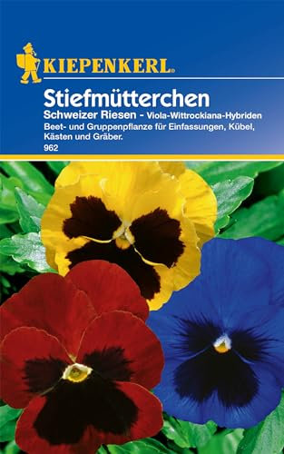 Kiepenkerl Stiefmütterchensamen Schweizer Riesen Mischung - Blumensamen für Kübel & Kästen, Wuchshöhe 20cm, Ideal für Beet- & Gruppenpflanzung