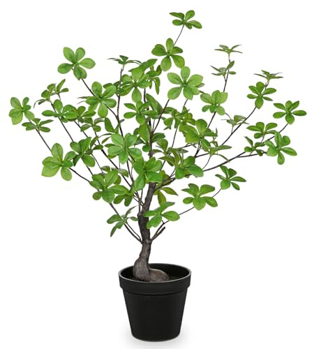 Arborus 55cm Tall Fake Plants Indoor 21.6 Small Artificial Japanese Enkianthus Tree in Black Pot Faux Potted Plants Fake House Green Plant for Home Bathroom Office Table Garden Decoration | Green Indoor Plants Plastic Plants for Table Shelf Decoration in Living Room Bedroom Bathroom Dining Room Boho Modern Japan