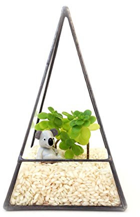 Pyramid Terrarium/Geometric Glass Plant Pot/Modern Planter/Handmade in England (Small, Black)