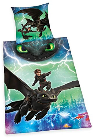 Herding DreamWorks Dragons Set di Biancheria da Letto Reversibile, Copripiumino 140 x 200 cm, Federa 70 x 90 cm, Cotone Renforcé