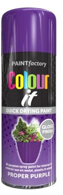 DIOXSTAR Purple Spray Paint, 250ml (1 PCS), Gloss Finish, Quick Drying, All Purpose for Metal, Wood, Plastic, Interior & Exterior Use
