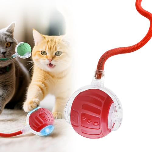 Hundespielzeug Ball, 2025 Neu Interaktives Katzenspielzeug Elektrisch Hund Mit Vogelgeräusche, 360° Smart Rolling Pet Ball Ballmaschine Hund für Katzen und Hunde für Katzen Hunde, Type-C (Rot)