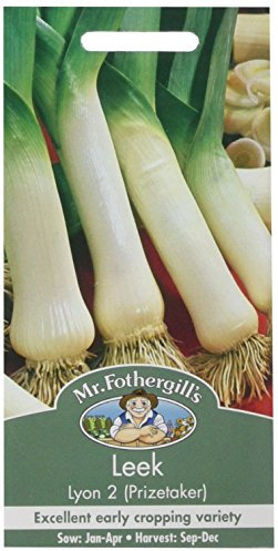 Mr Fothergill's 24157 Vegetable Seeds, Leek Lyon (Prizetaker), White