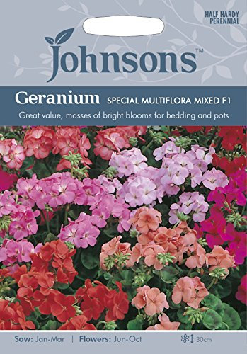 Johnsons 10056 Flower Seeds, Geranium Special Multiflora Mixed F1