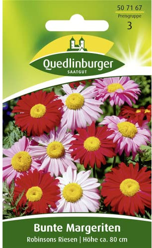 Bunte Margerite, Robinsons Riesen