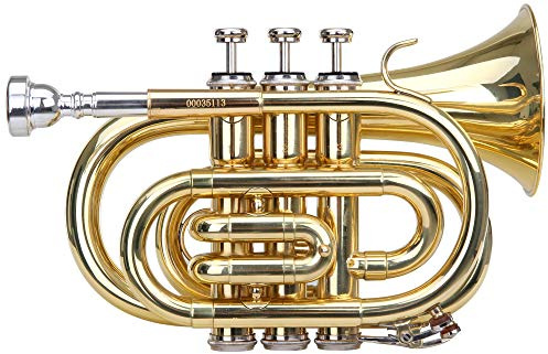 Classic Cantabile Brass TT-400 B-Taschentrompete (Messing, Schallbecher Durchmesser: 93 mm, Bohrung: 11,8 mm, Stimmung: B, inkl. Leichtkoffer, Mundstück, Putztuch, Handschuhe) klar lackiert