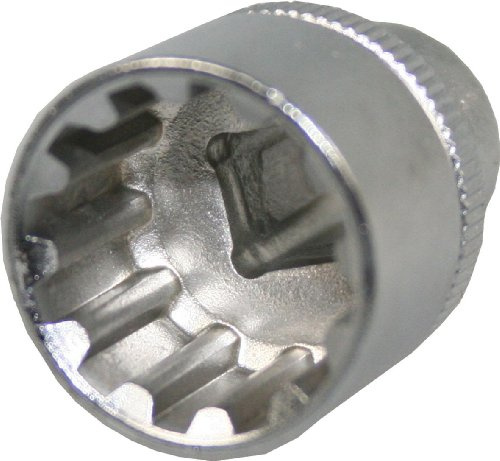SW-Stahl 05440L-10 Steckschlüsseleinsatz 1/4 Zoll Multi-Profil 10 mm | Stecknuss aus CV-Stahl matt verchromt, kurz 25 mm, passend für Sechskant, Zwölfkant, E-Profil und Zollschrauben
