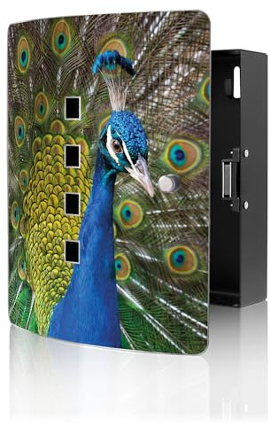 banjado Design Schlüsselkasten aus Edelstahl für 10 Schlüssel - Schlüsselschrank zur Schlüssel Aufbewahrung 24 x 21,5 x 7cm groß mit praktischem Magnetverschluss - Motiv Pfau