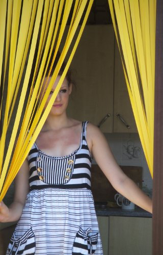 Holland Plastics Wohnwagen-Türvorhang, Fliegengitter, Insektenschutz, Streifenvorhang -Sonnenschein- 62cm breit