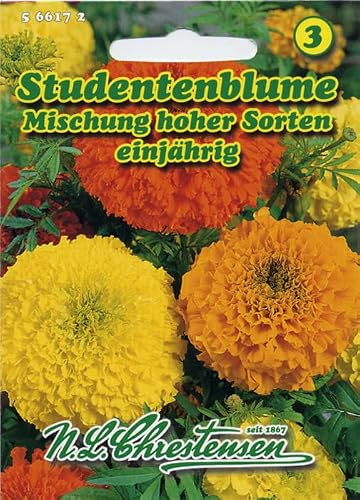 Studentenblumen Mischung hoher Sorten Tagetes erecta plena