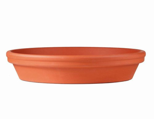 Westerwälder Blumentopf-Fabrik Spang Untersetzer Standard, glasiert, 24 x 24 x 4,9 cm, tonrot
