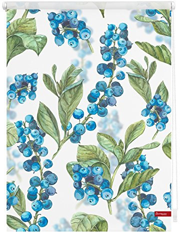 Lichtblick Klemmfix Tageslicht-Rollo mit Motiv, ohne Bohren, Blickdicht, Seitenzugrollo, Made in Germany, Heidelbeere - Blau Grün 80 x 150 cm (B x L)