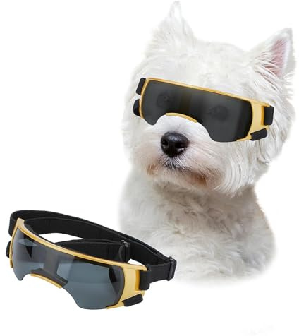 NAMSAN Sonnenbrille für Kleine Hunde Schutzbrille für Kleine Hunde Winddichte UV-Schutz Wasserdicht Hundebrille Welpen mit Einstellbar Gummiband-Golden