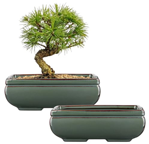 Bonsai-Töpfe aus Keramik mit Ablaufloch, 2er-Set, grün glasierte Bonsai-Pflanzgefäße für den Innen- und Außenbereich, rechteckiger Flacher Bonzai-Baumtopf für Sukkulenten, Orchideen, Kakteen, Haus