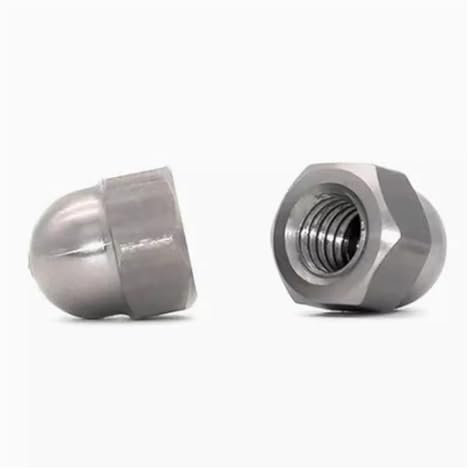 jiuxinyun 2 Stück M3 M4 M5 M6 M8 M10 M12 M16 M20 TA2 Reine Titan-Überwurfmutter, runder Kopf, dekorative Kappe, Schraubverschluss(2pcs M20)