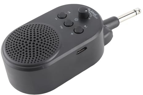 5W Wiederaufladbare Mini -Gitarren -Verstärker mit 3D -Sound -High -Fidelity - für Heimübungsreisen, die mit Einer Vielzahl von 6, 35 -mm -Stecker Elektrogitarren Kompatibel Ist