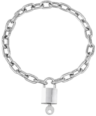 RAMUS KATEN Heavy Chunky Stainless Steel Lock Necklace punk gothic Padlock Choker Chain for Men Jewelry, 23.7, Stainless Steel, No Gemstone