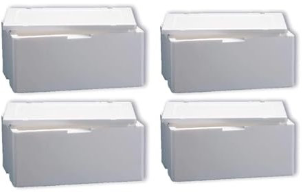DUE ESSE S.N.C. DI SABATINI ALDO PZ 4 CASSA TERMICA BIANCA CM 50 X CM 30 ALTA CM 22 SCATOLA PORTA ALIMENTI TERMOSCATOLA in POLISTIROLO per ASPORTO