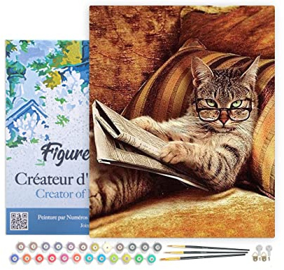 Figured'Art Peinture par Numéro Adulte avec Cadre Chat Connaisseur - Activité Manuelle Kit de Loisir Créatif DIY Numéro d'Art Complet - 40x50cm toile tendue sur châssis