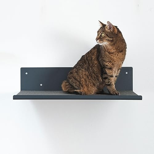 LucyBalu® Straight Wandliege Katzen Filz-Auflage Anthrazit | Freischwebender Schlafplatz für die Wand, robuste Metallhalterung, mit Filz-Bezug