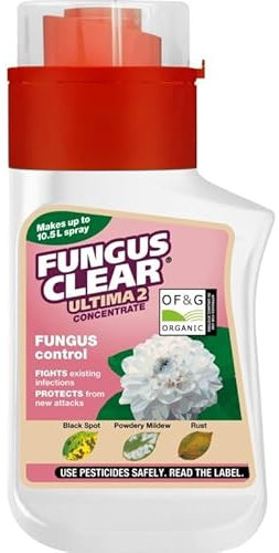 FungusClear Ultimate Concentrate 210ml | Systemic Fungicide for Roses, Ornamental Plants & Shrubs | Protects Against Black Spot, Powdery Mildew & Rust | Long-Lasting Protection