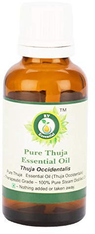 Huile essentielle thuya | Thuja Occidentalis | Huile Thuja Occidentalis | Pour peau | 100% naturel pur | Distilléé vapeur | Grade thérapeutique | Thuja Essential Oil | 30ml | 1.01oz By R V Essential