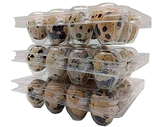 Wachtelei aus Kunststoff, Packung mit 100 Kartons für Dutzende von kleinen Eiern, Wachteln, Fasan oder Huhn, für 12 Wachteln oder kleine Eier, keine Eier enthalten