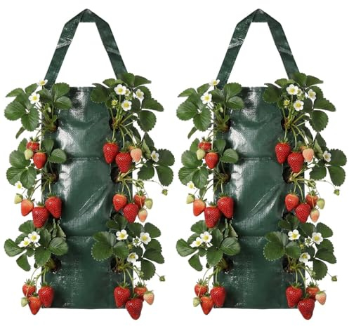 2 PCS Bolsa de Plantación, Bolsas de Plantas de Plástico Colgadas Verticalmente, Bolsas de Plantas Transpirables con 8 Agujeros, Jardin Vertical Bolsas de Cultivo para Plantas Fresas Hierbas Verduras