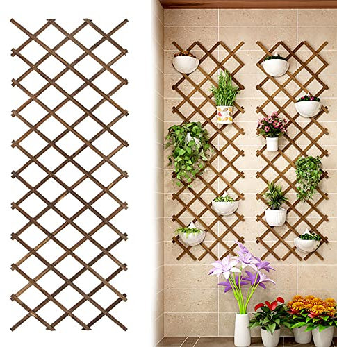 Treillis Bois,Palissade Balcon,Support de Décoration de Fleurs de Cadre d'escalade pour Plantes Rétractables de Clôture,Treillis de jardin extensible pour plantes grimpantes (188x62cm/74x24.4in)