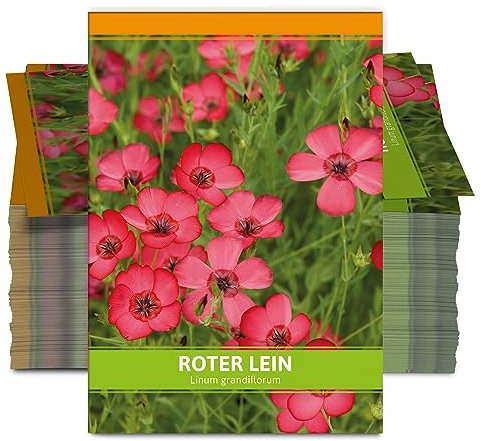 FLORTUS Roter Lein als Gastgeschenke (100 Stück) | Blumensamen als Dankeschön Geschenke, Mitgebsel & Werbegeschenke | Wildblumensamen
