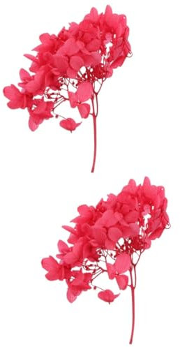 Cabilock 2 Boîtes Matériel Rose Artificiel Bouquets De Mariée pour Mariage Décor De Maison Soie Fleurs D'hortensia Séchées Hortensias Rouge Fleur Préservée Fleurs Séchées Hortensia en Bois
