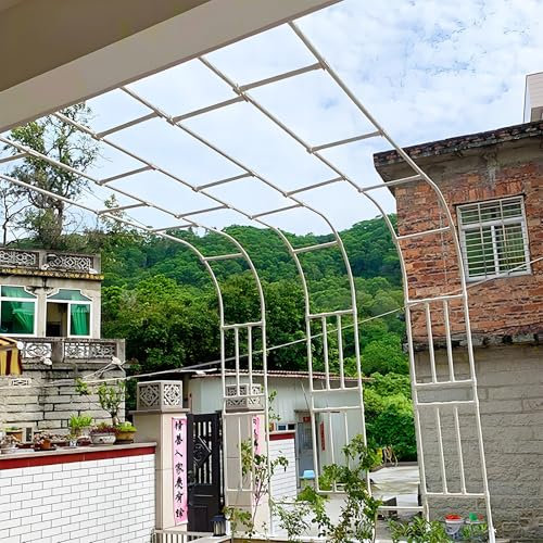 Arche De Jardin Semi-Adossée Contre Le Mur, Tuteur Métallique pour Plantes Grimpantes, Arceau Robuste pour Jardin Extérieur, Mariage Et Décoration De Fête(Blanc,W 150 x H 240 cm)
