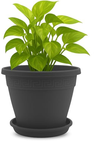 TECHZOCO Macetero con Plato, Maceta Redonda clásica de plástico con Plato, Tiesto para Plantas, Fabricado en Polipropileno, 15 cm Altura x 20 cm Diámetro Superior x 11 cm Diámetro Base, Antracita