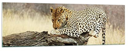 ARTTOR Bilder auf Glas 160x50cm Wandbild Glasdruck Natur Tiere - 2599